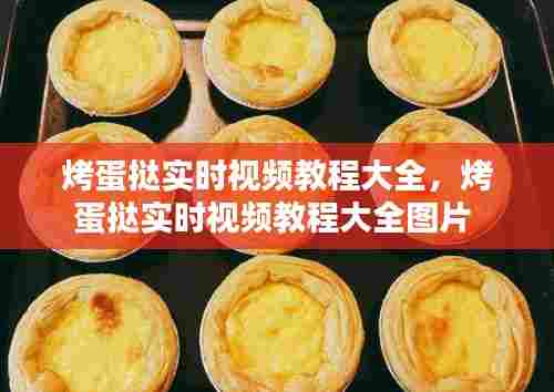 烤蛋挞实时视频教程大全,烤蛋挞实时视频教程大全图片