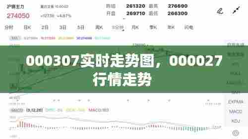 000307实时走势图，000027行情走势 