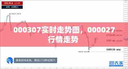 000307实时走势图,000027行情走势
