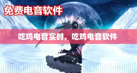 吃鸡电音实时,吃鸡电音软件