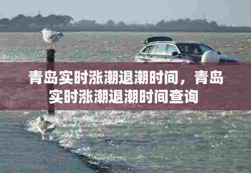 青岛实时涨潮退潮时间,青岛实时涨潮退潮时间查询