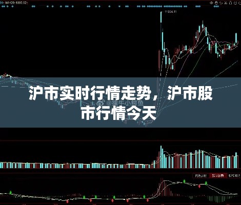 沪市实时行情走势,沪市股市行情今天