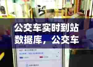 公交车实时到站数据库,公交车实时到站情况