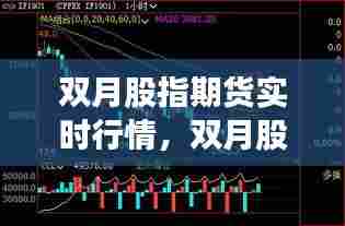 双月股指期货实时行情，双月股指期货实时行情走势 