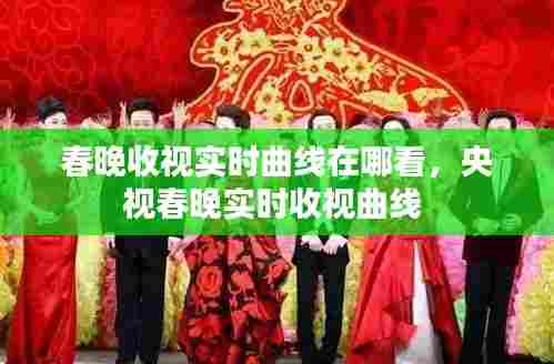 春晚收视实时曲线在哪看,央视春晚实时收视曲线