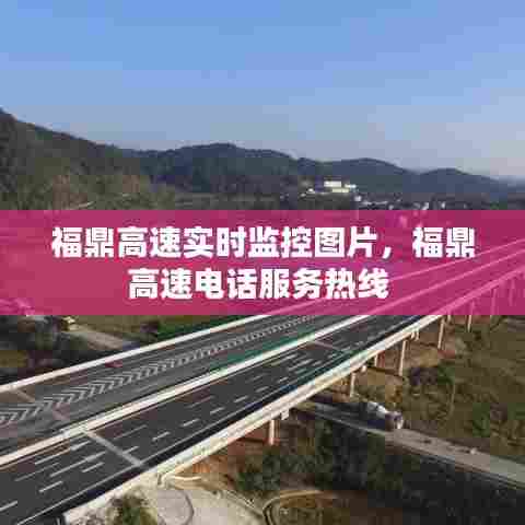 福鼎高速实时监控图片,福鼎高速电话服务热线
