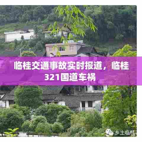 临桂交通事故实时报道,临桂321国道车祸
