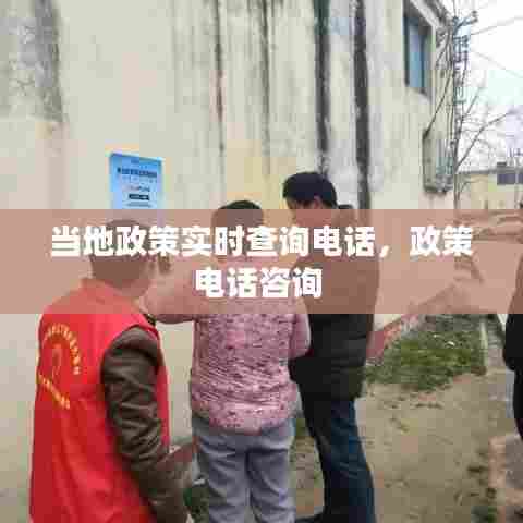 当地政策实时查询电话,政策电话咨询