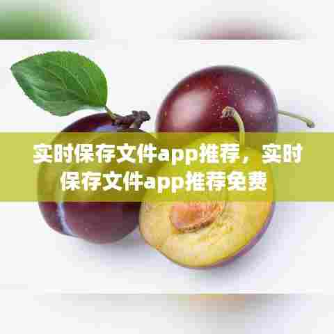 实时保存文件app推荐，实时保存文件app推荐免费 