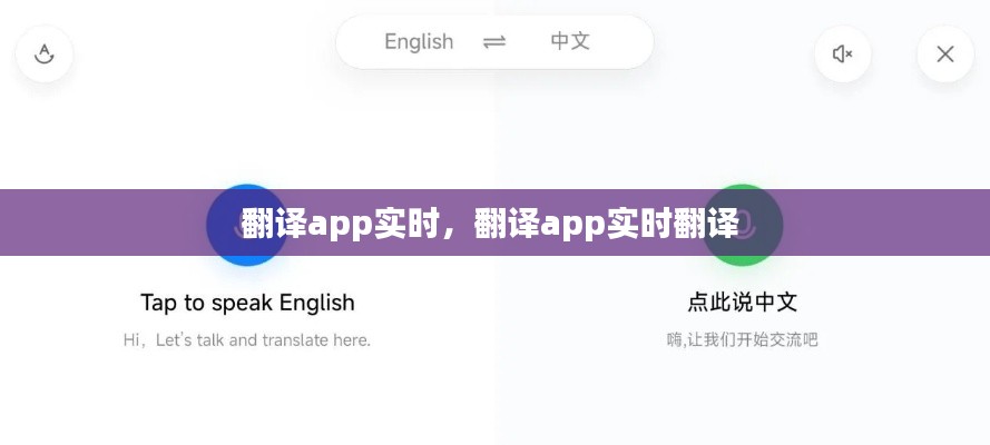 翻译app实时,翻译app实时翻译