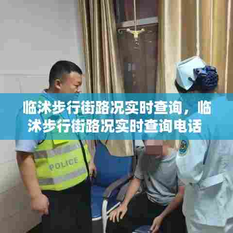 临沭步行街路况实时查询,临沭步行街路况实时查询电话