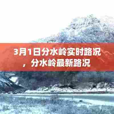 3月1日分水岭实时路况,分水岭最新路况