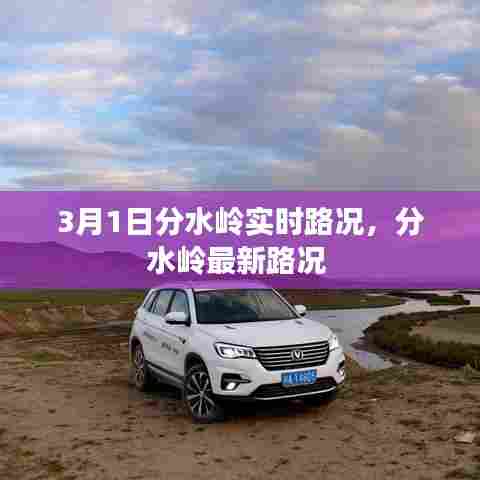 3月1日分水岭实时路况,分水岭最新路况