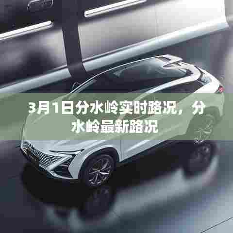 3月1日分水岭实时路况,分水岭最新路况