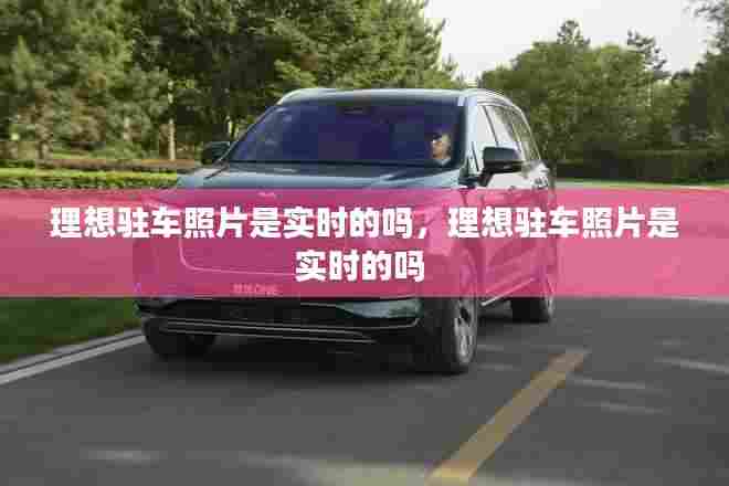 理想驻车照片是实时的吗,理想驻车照片是实时的吗