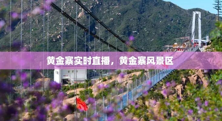 黄金寨实时直播,黄金寨风景区
