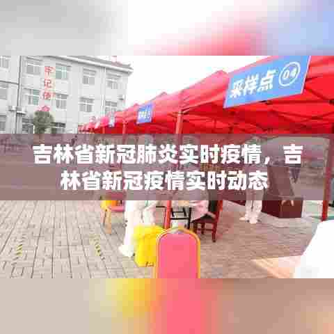 吉林省新冠肺炎实时疫情,吉林省新冠疫情实时动态