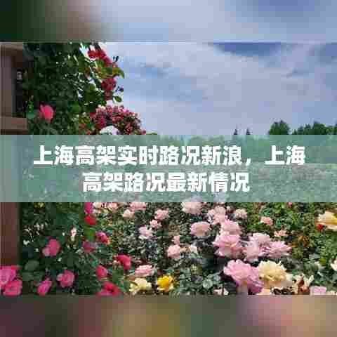 上海高架实时路况新浪,上海高架路况最新情况