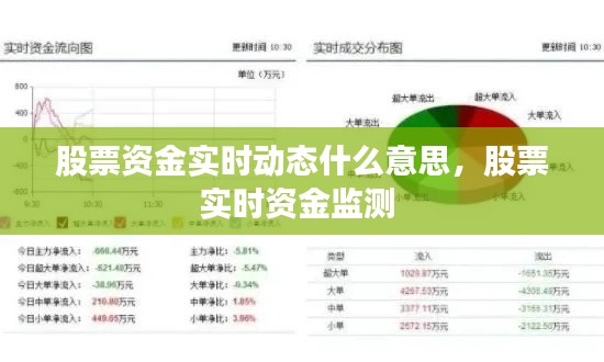 股票资金实时动态什么意思,股票实时资金监测