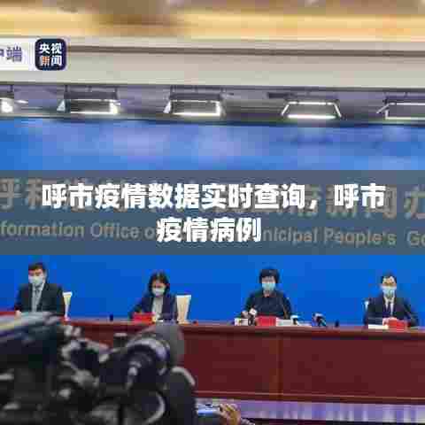呼市疫情数据实时查询,呼市疫情病例