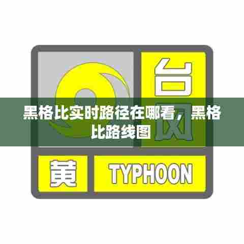 黑格比实时路径在哪看,黑格比路线图