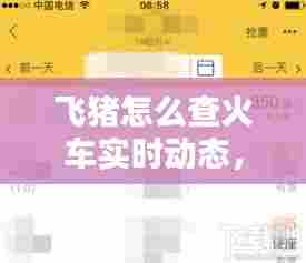 飞猪怎么查火车实时动态,飞猪怎么查询车次