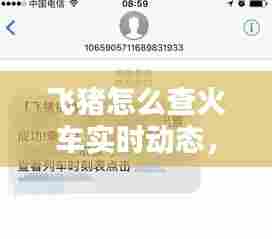 飞猪怎么查火车实时动态,飞猪怎么查询车次