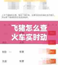 飞猪怎么查火车实时动态,飞猪怎么查询车次