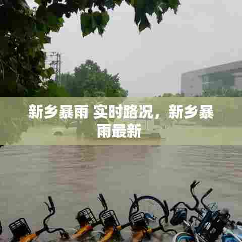 新乡暴雨 实时路况,新乡暴雨最新