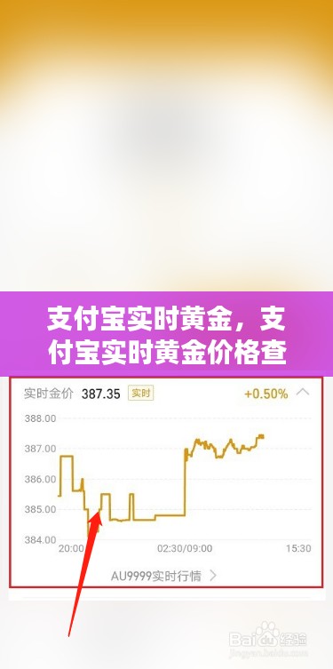 支付宝实时黄金,支付宝实时黄金价格查询