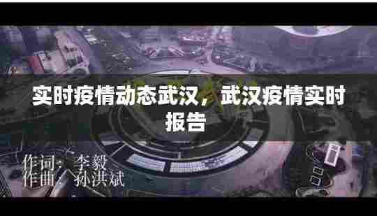 实时疫情动态武汉，武汉疫情实时报告 