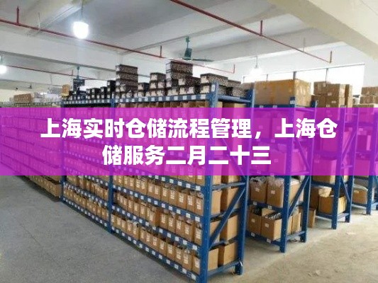 上海实时仓储流程管理,上海仓储服务二月二十三