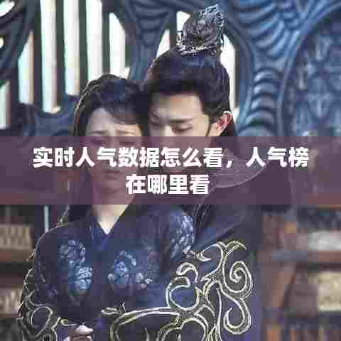 实时人气数据怎么看,人气榜在哪里看