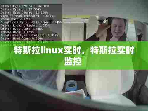 特斯拉linux实时,特斯拉实时监控