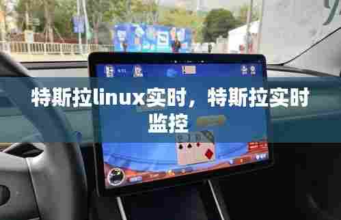 特斯拉linux实时,特斯拉实时监控