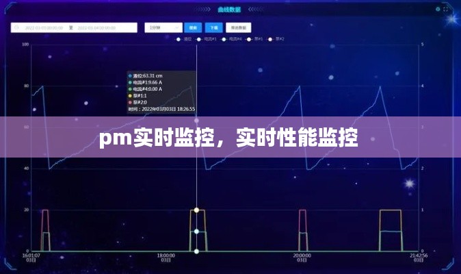 pm实时监控，实时性能监控 