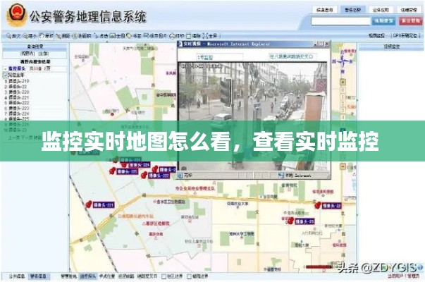 公司介绍 第310页