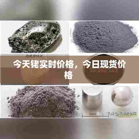 姑射神人 第8页