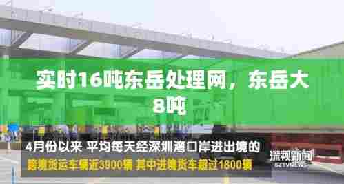实时16吨东岳处理网，东岳大8吨 