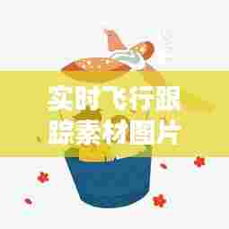 实时飞行跟踪素材图片,实时飞行动态