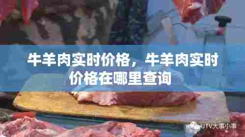 牛羊肉实时价格,牛羊肉实时价格在哪里查询