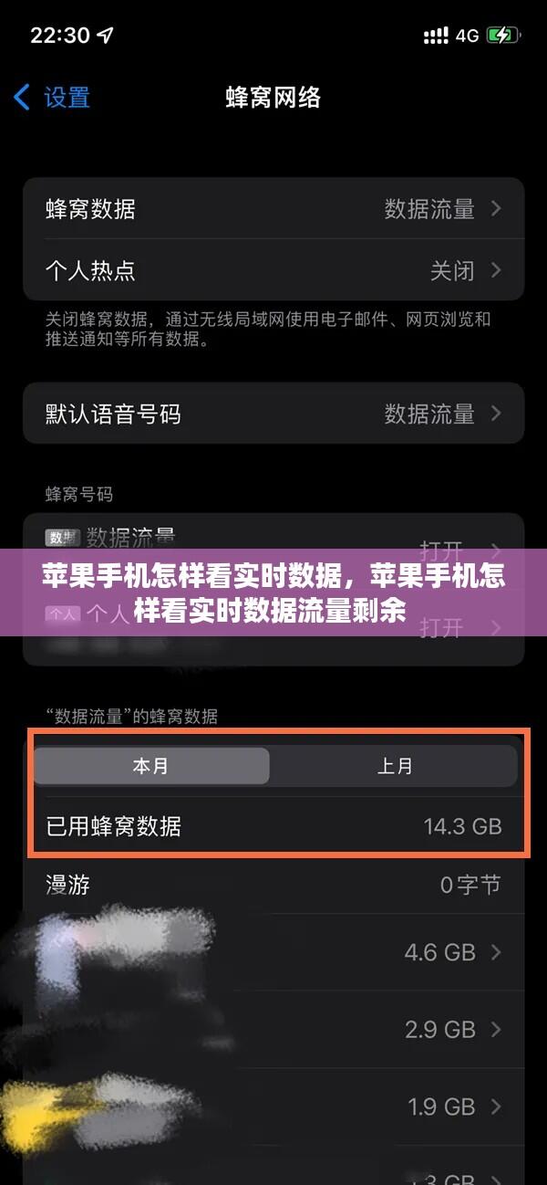 苹果手机怎样看实时数据,苹果手机怎样看实时数据流量剩余
