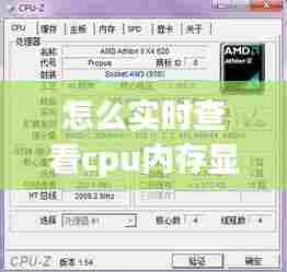 怎么实时查看cpu内存显卡ping，怎么看cpu显卡内存占用率 