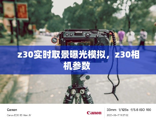 z30实时取景曝光模拟,z30相机参数