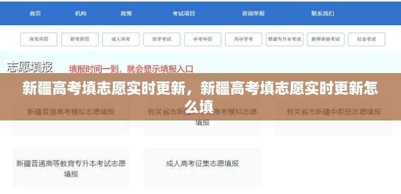 新疆高考填志愿实时更新，新疆高考填志愿实时更新怎么填 