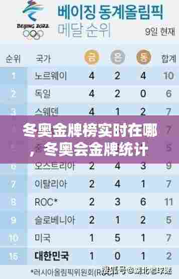 冬奥金牌榜实时在哪，冬奥会金牌统计 