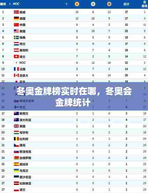 冬奥金牌榜实时在哪,冬奥会金牌统计