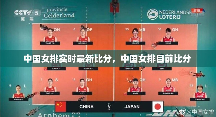 中国女排实时最新比分,中国女排目前比分