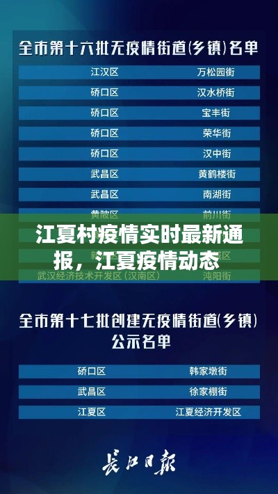 江夏村疫情实时最新通报,江夏疫情动态