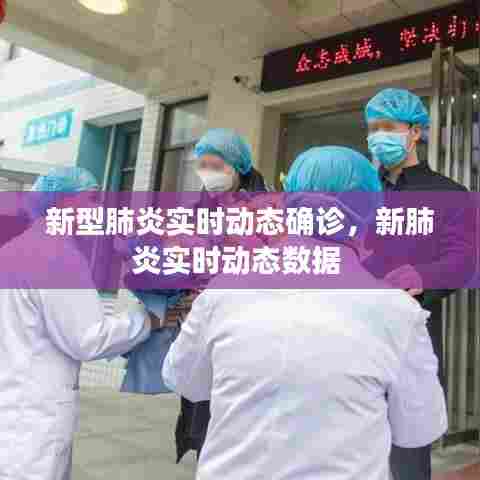 新型肺炎实时动态确诊，新肺炎实时动态数据 